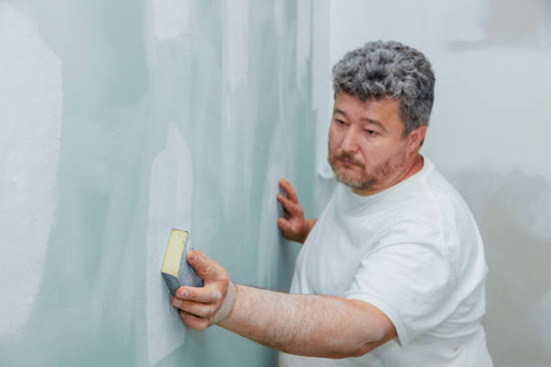 Best Mold Damage Restoration  in Carter Lake, IA