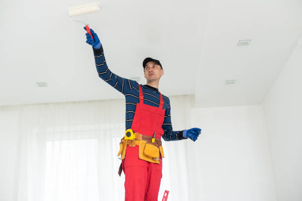 Best Black Mold Removal  in Carter Lake, IA